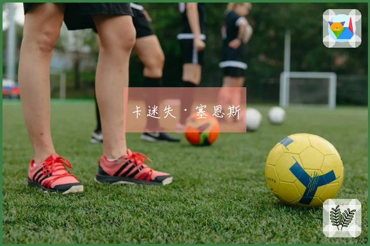 卡迷失·塞恩斯