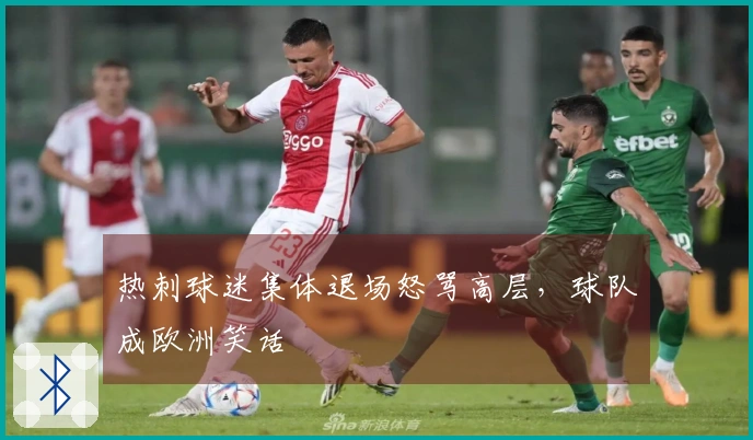 热刺球迷集体退场怒骂高层，球队成欧洲笑话